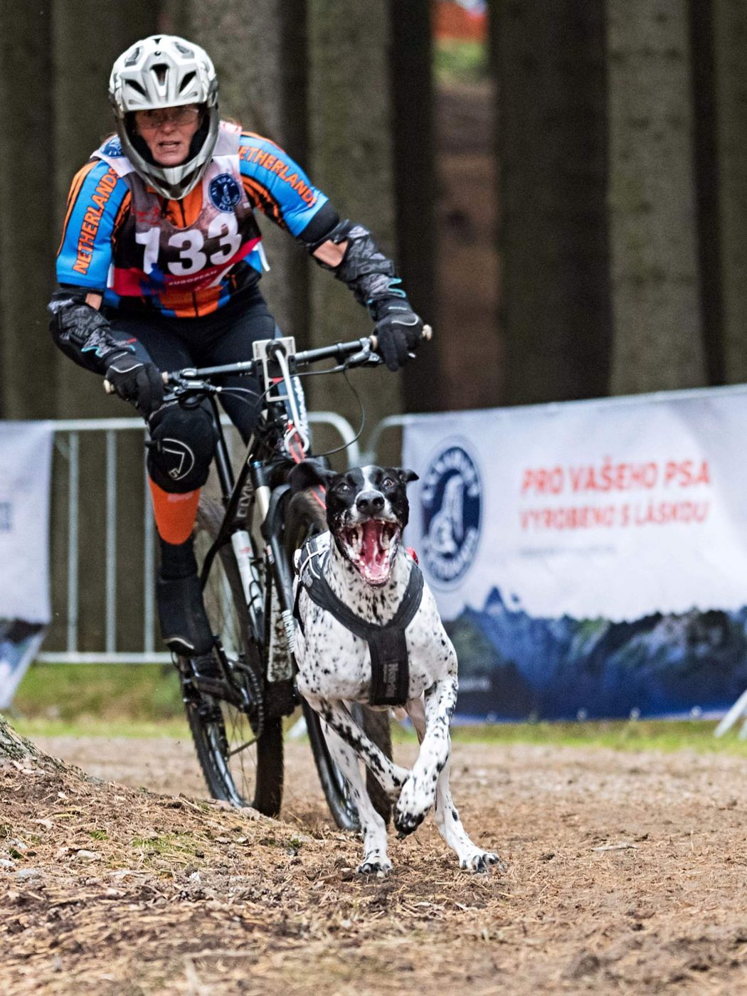 1x Goud en 2x Brons tijdens het Europees kampioenschap Canicross/Bikejoring