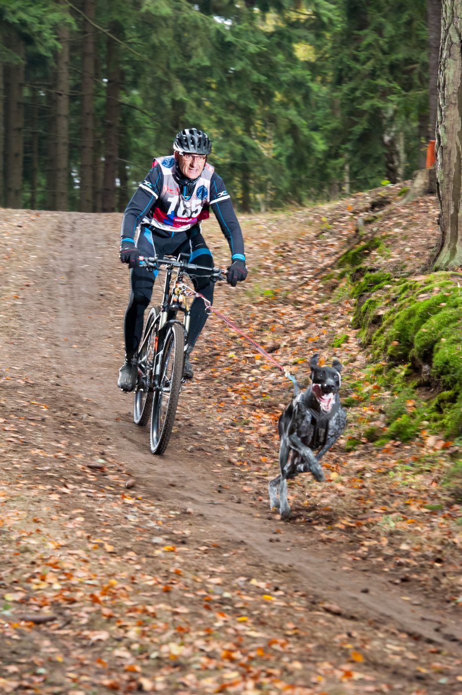 1x Goud en 2x Brons tijdens het Europees kampioenschap Canicross/Bikejoring