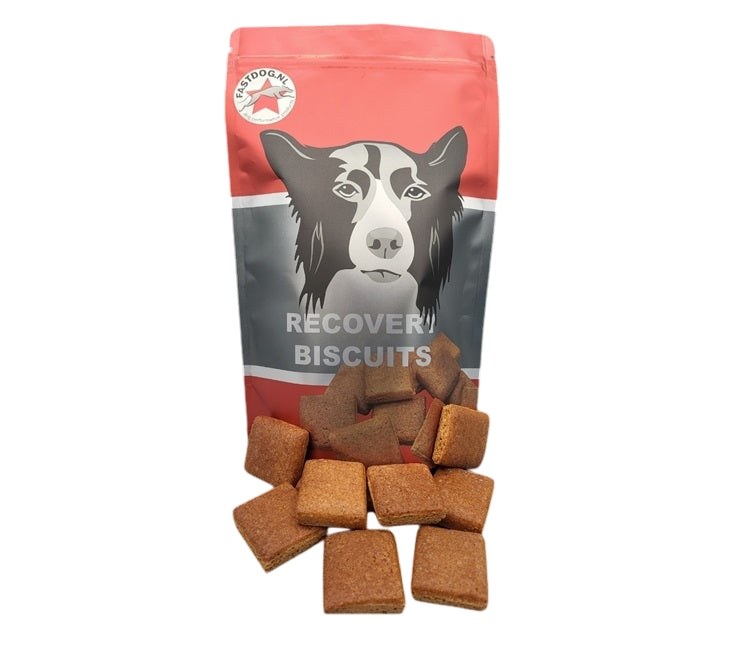 Recovery Biscuits